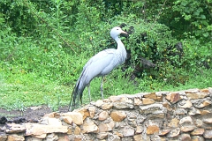 0659-Reis Zuid-Afrika2007
